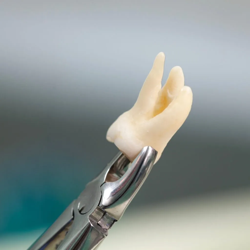Servicio dental